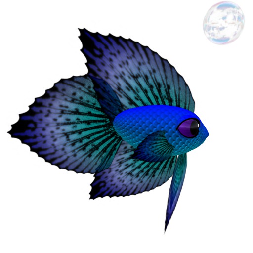 (7S) Common Fish: Blue Frost Fish