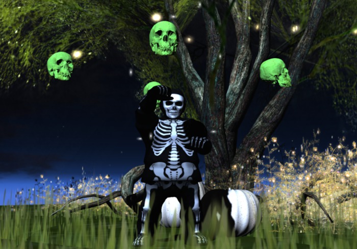 *~ Skull Typer ~*