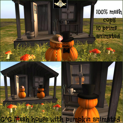 G^G Mesh house with pumpkin animated
