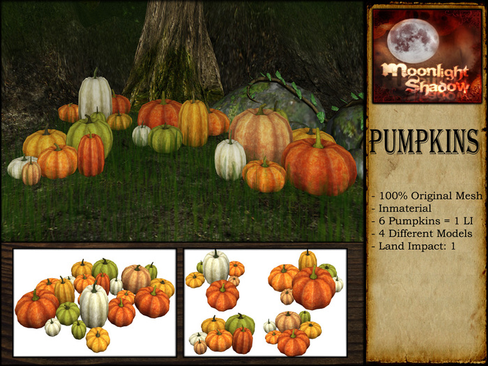 "Moon_Sha" Pumpkins (Copy)