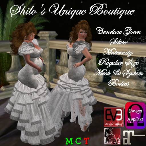 Candace Gown Silver