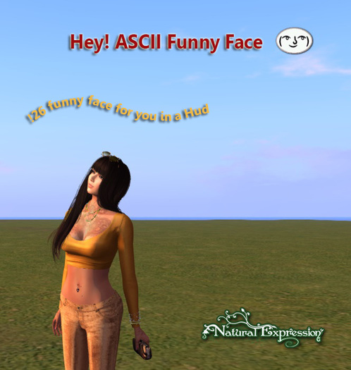 Natural - HEY! ASCII Funny Face HUD