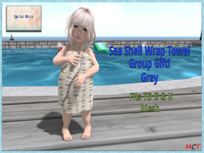 [S][B] Sea Shell Wrap Towel - Grey Group Gift