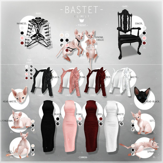 -Pixicat- Bastet.Sphynx - White (Head)