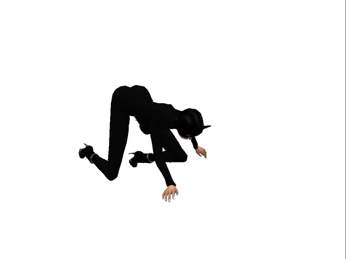 Scrub Floor animation Full Perms