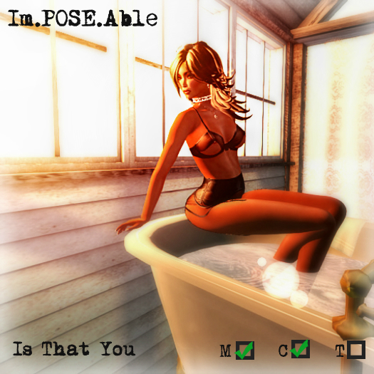 [Im.POSE.Able] Is That You