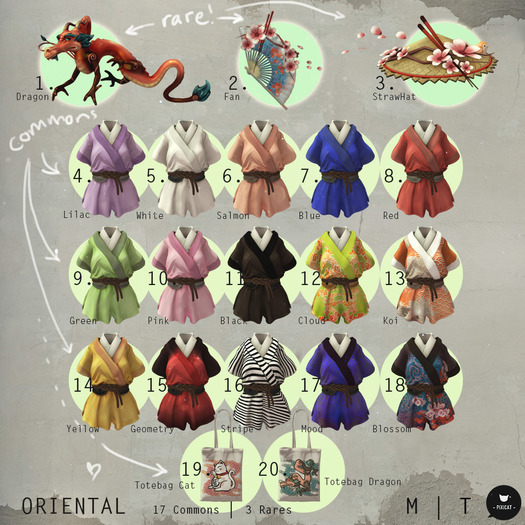-Pixicat- Oriental (Dragon) RARE
