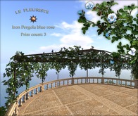 Fleuriste☼Iron Pergola Blue Rose