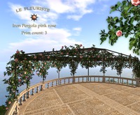Fleuriste☼Iron Pergola Pink Rose