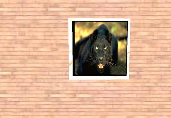 Picture Black Panther Marble Frame