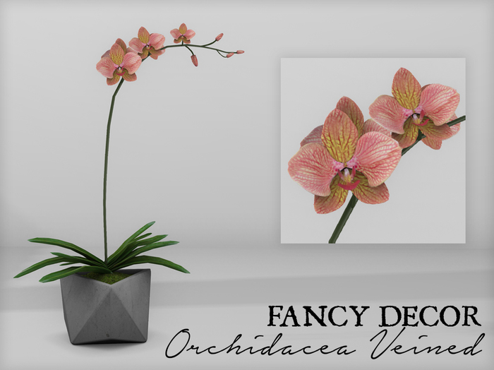 Fancy Decor: Orchidaceae (veined)