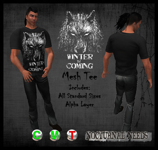 Winter is Coming _ Mens