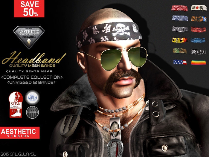 CA AESTHETIC HEAD BANDS FAT PACK