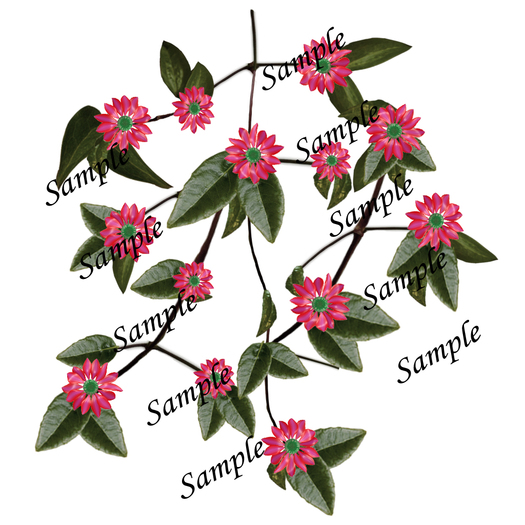 Fantasy China Red flowers PNG texture