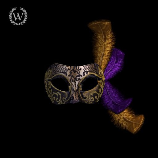 Venice with feathers / Venecia con plumas PACKED