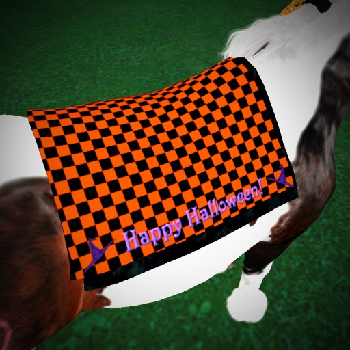 BC Halloween Western Saddle Pad