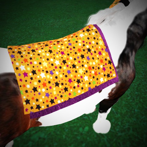 BC Orange/Purple Western Saddle Pad