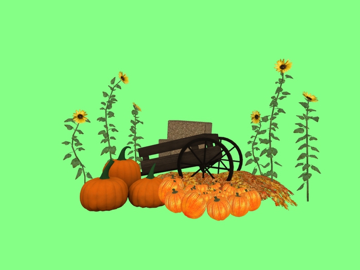 Fall Yard Wheelbarrow Decoration