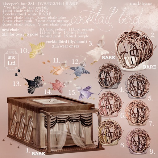 {anc} 14.cocktailbird/ bird:pink