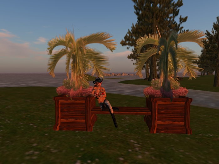 PlanterBench Collection - Palms/Poses