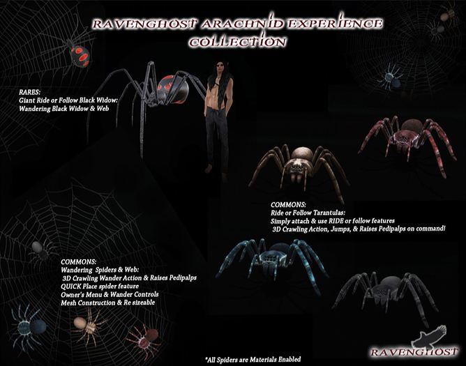 Ravenghost - Rideable Giant Black Widow Rare