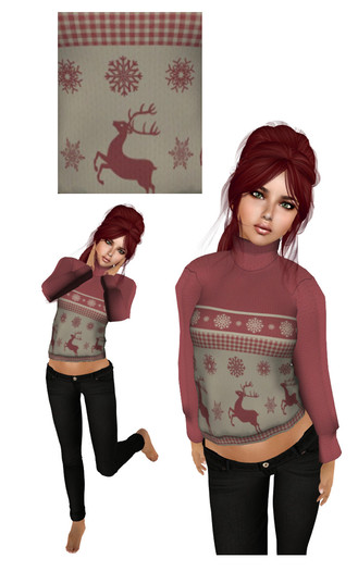 Cady's Reindeer Sweater
