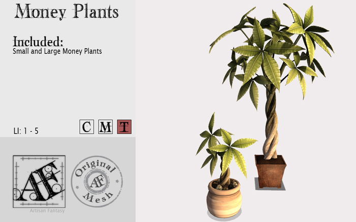 *AF* Money Plants (Wear Me)