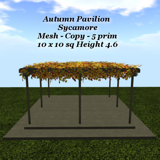 Autumn Pavilion Sycamore