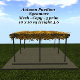 Autumn Pavilion Sycamore
