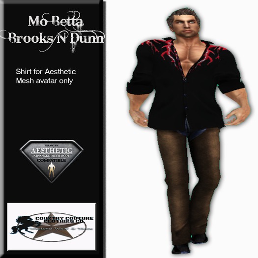 Country Couture Aesthetic  Mo Betta Brooks N Dunn