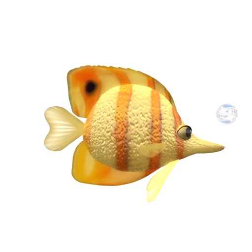 (7S) Common Fish: Blue Frost Fish