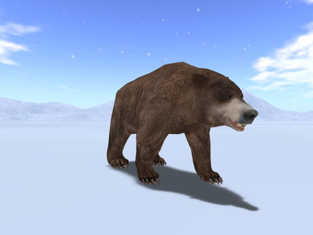 MESH BEAR BROWN