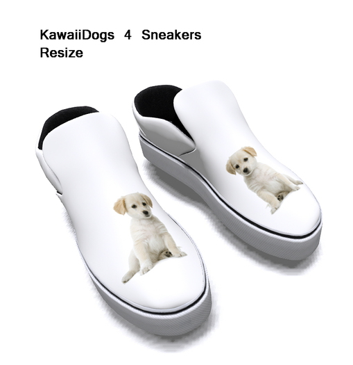 KawaiiDogs 4 Sneakers Box
