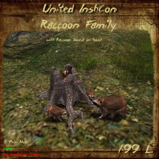 *UI* Raccoon Family v