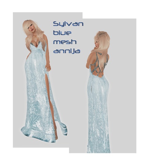 Sylvan Dress Blue Mesh