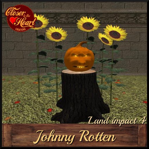 Johnny Rotten in Sunflowers***