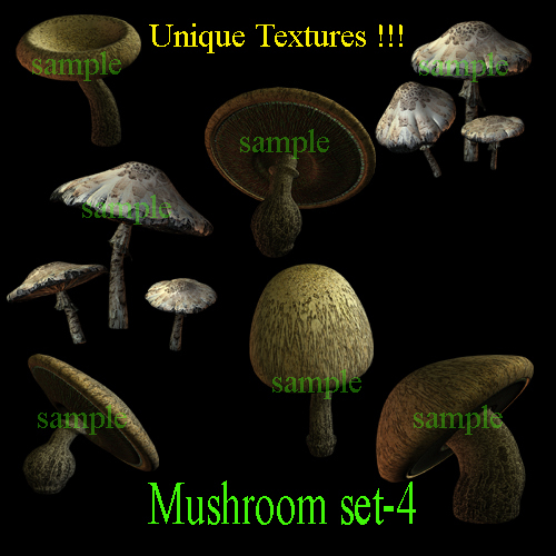 1 BOX Mushroom set4