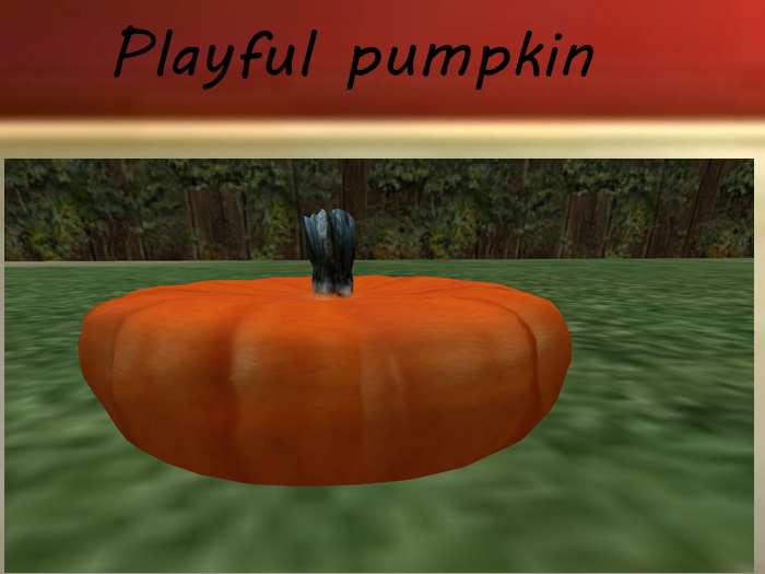 playful pumpkin