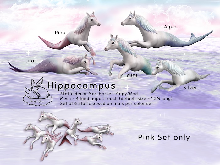 +Half-Deer+ Hippocampus