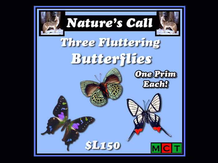 MM Three Fluttering Butterflies Box 1