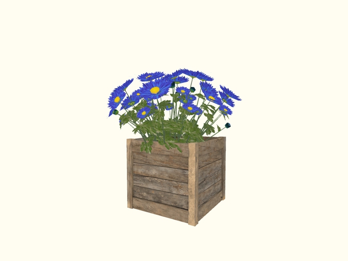 Wooden Planter Blue Mum