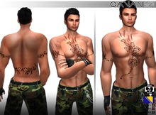 CANAN - Tiger Tattoo Male