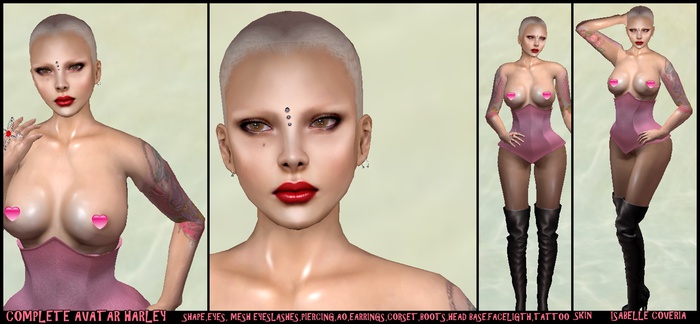 COMPLETE AVATAR HARLEY 2000