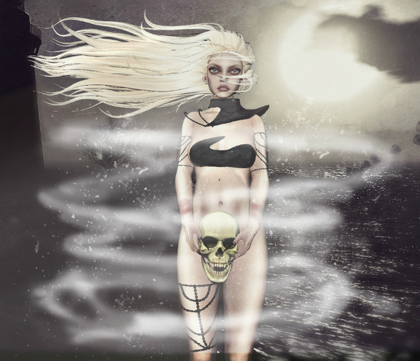 Stand 3, Single Pose Box Sale