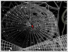 Spiderweb 012