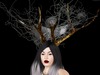 Spiderweb 008