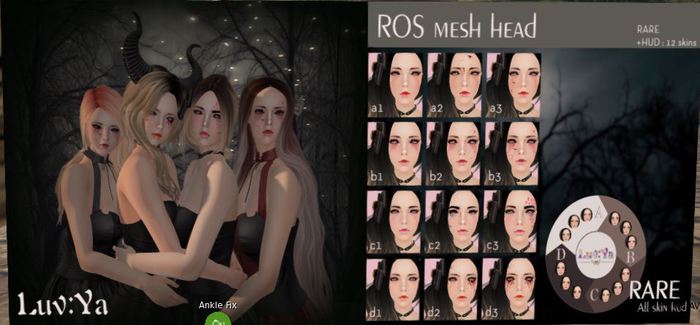 [Luv:Ya] ROS Mesh Head b2