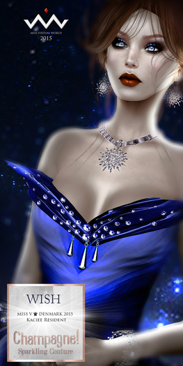 (C)DEMO/WISH Mesh Gown (5 Sizes)