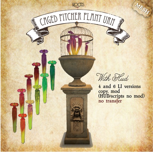 [noctis] Gorgon caged Pitcher Plant
