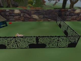 Celtic Puppy Pen Boxed